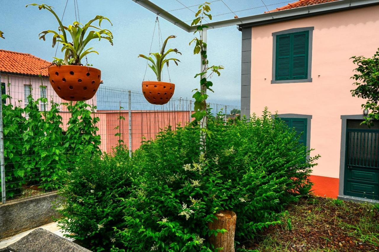 Os Ferreirinhos, A Home In Madeira Sao Jorge  Exterior photo